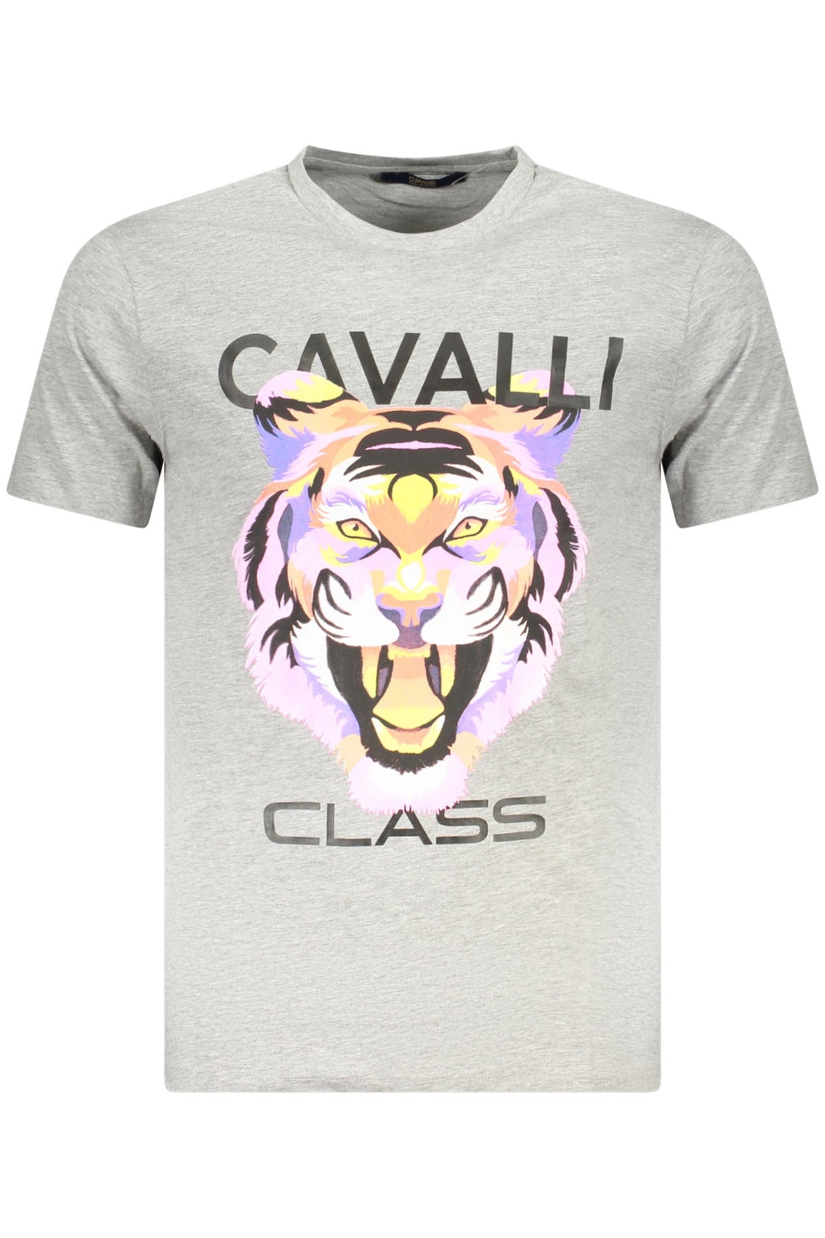 Cavalli Class Short Sleeve T-Shirt Men Grey